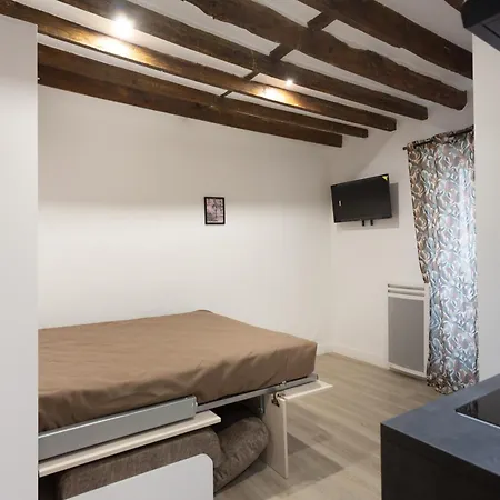 Leonard De Vinci Ii 巴黎