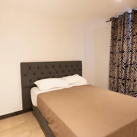 Leonard De Vinci Ii 巴黎